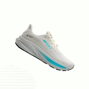 Brooks Ghost 17 GTX (Femme)
