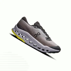 On Cloudsurfer Trail 2 WaterProof (Femme)