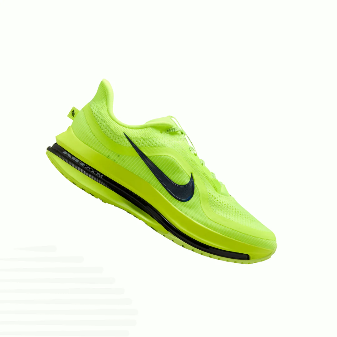 Nike Pegasus Premium (Homme)