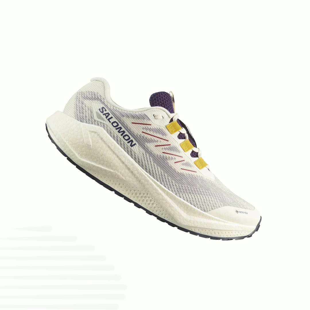 Salomon AeroBlaze 3 Gravel Gore-Tex (Homme)