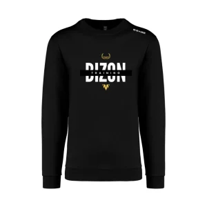 Sweat Bizon Training