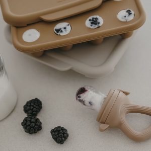 Bac à glaçons pour tétine grignoteuse – Zakuw